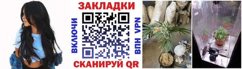 Где продают наркотики Канаш КОКАИН  ГАШ 