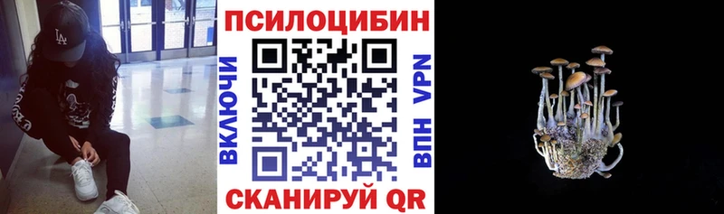 Псилоцибиновые грибы прущие грибы  Канаш 