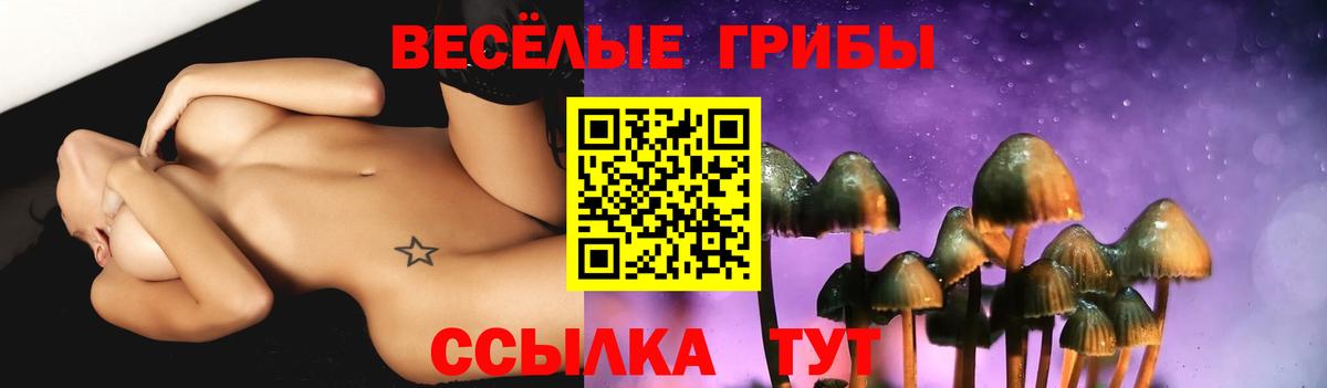 Канаш  Псилоцибиновые грибы Psilocybe  Вход с VPN 